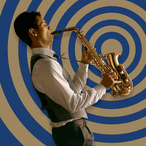 jakobwinter1886 giphyupload music musician instrument GIF