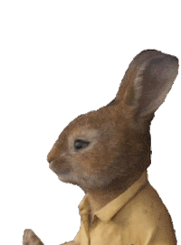 Scream What Sticker by Peter Rabbit Movie