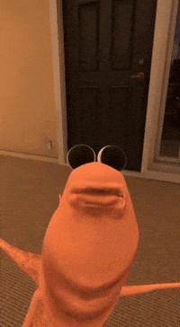 Confused Vr GIF