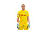 Football Soccer Sticker by Holstein Kiel