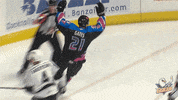 Winning National Hockey League GIF by San Diego Gulls