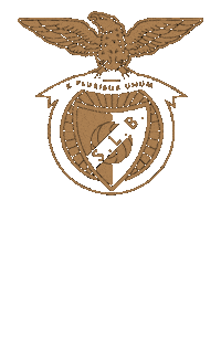 Sl Benfica Slbgif Sticker by Sport Lisboa e Benfica