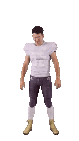 Sad Football Sticker by ACSL - Austrian College Sports League