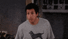 vrt spanglish GIF