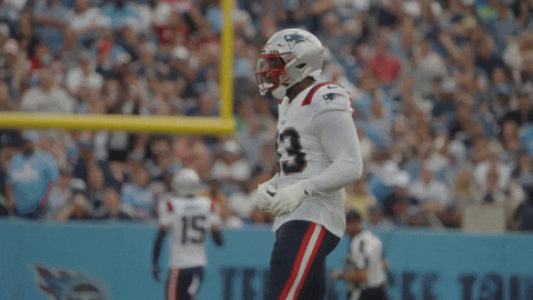 Football No GIF by New England Patriots