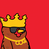 COQINU money bling coq coqinu GIF