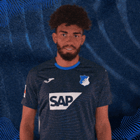 Sport Logo GIF by TSG Hoffenheim
