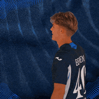 Sport Bundesliga GIF by TSG Hoffenheim