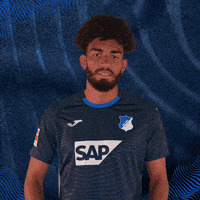 Sport Bundesliga GIF by TSG Hoffenheim