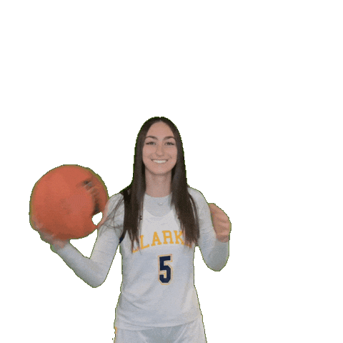 Clarke Athletics Sticker by Clarke University