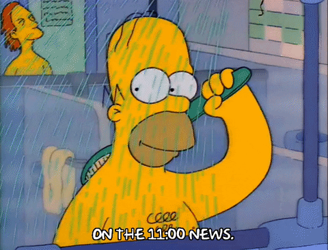 Season 2 Episode 13 GIF by The Simpsons