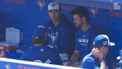 Put It There Whats Up GIF by Toronto Blue Jays