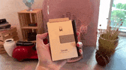 pink sliding GIF by MANI WONDERS