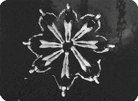 Gaslighter GIF by Dixie Chicks