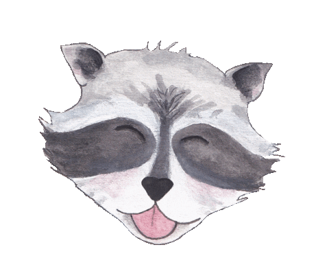 Raccoon Raccoonhead Sticker