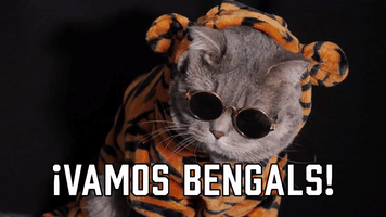 ”Vamos Bengals!