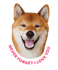 i love you dog Sticker