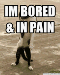 im bored GIF