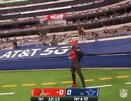 Regular Season Football GIF by NFL
