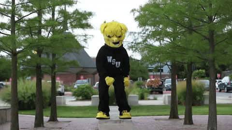 Wu_Shock giphyupload ballin wu wsu GIF