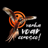 Voar GIF by Arara Resultados