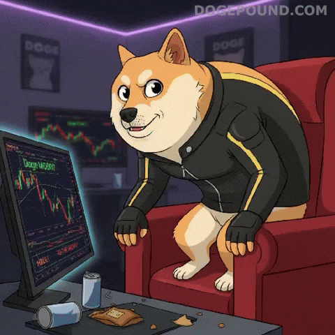Watching Shiba Inu GIF by Doge Pound