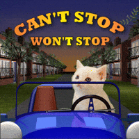 Cant Stop Make Way GIF