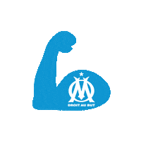 go orange velodrome Sticker by Olympique de Marseille