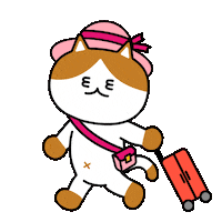 Kitty 고양이 Sticker by 궁디팡팡 캣페스타