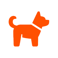 Travel 여행 Sticker by JEJU AIR