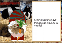 Bunny Rabbit Gnome GIF