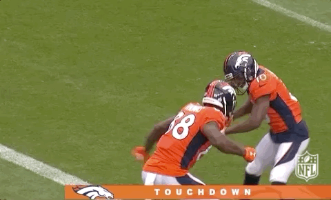 2018 Nfl Football GIF by NFL