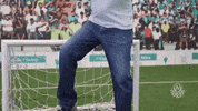 alfredo mostarda GIF by SE Palmeiras