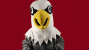 uwlacrosse thumbs down stryker uwl uwlax GIF