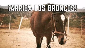 ¡Arriba Los Broncos!