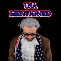 United States Usa GIF