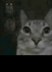 Freddy Behind Me GIF