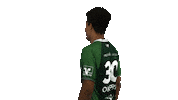 hsgwetzlar handball-bundesliga wetzlar hsg wetzlar wetzlarerjungs Sticker