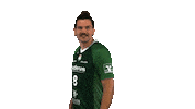 hsgwetzlar schmidt handball-bundesliga wetzlar hsg wetzlar Sticker