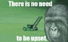 Calm Down Keep Your Head Up GIF
