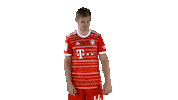 Extra Time Football Sticker by FC Bayern Munich