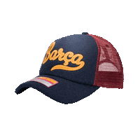 Champions League Football Sticker by FAN INK