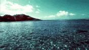 r and r vacation GIF