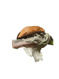 Fish Matjes Sticker