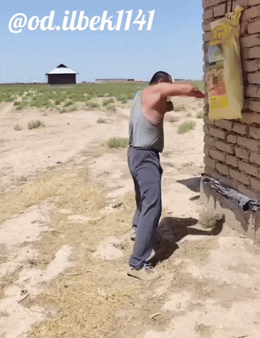 Uzbek Uzb GIF