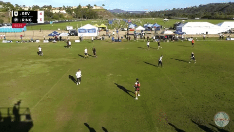 flikulti ultimate frisbee flik GIF