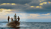 Shark Week GIF by discovery+