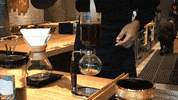 GIF by Mashable