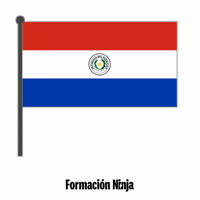 Flag Bandera GIF by Formación Ninja