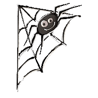 Spider Web Art Sticker